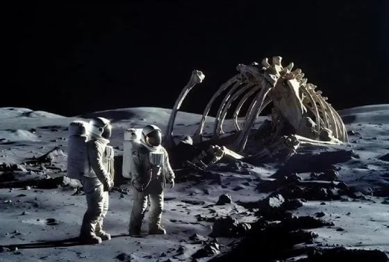 Text to video preview