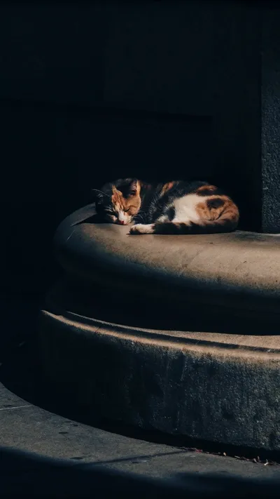 Background remover results