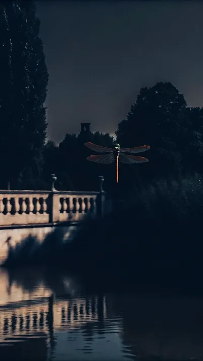 Image to video AI FAQ