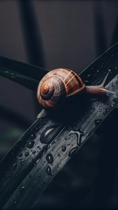 Sora 2 Pro FAQ illustration