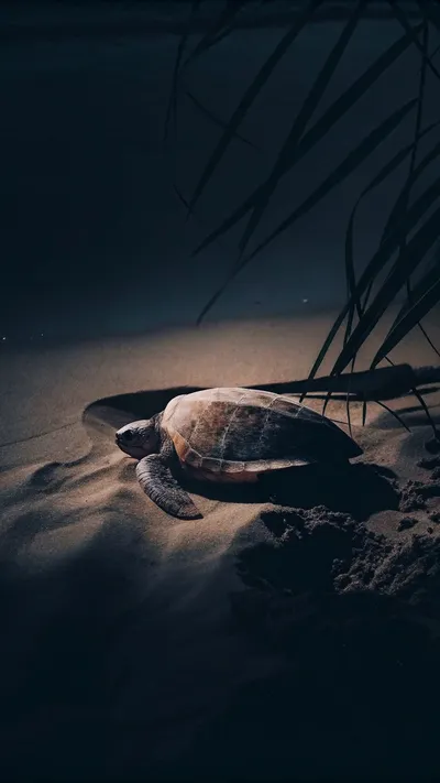 AI music creation illustration