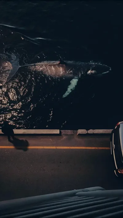 AI generated video preview